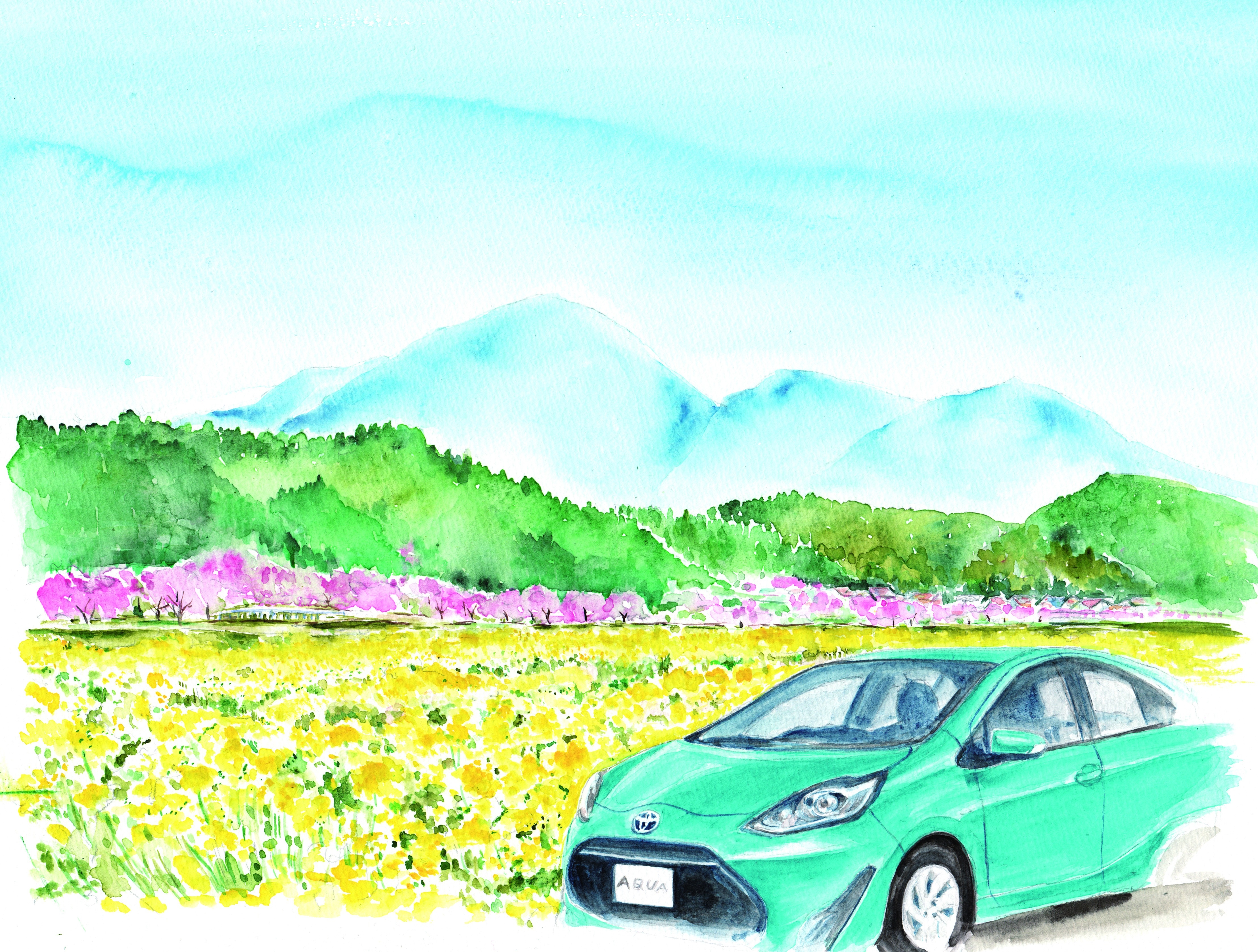 銀山街道の桜・菜の花とアクア