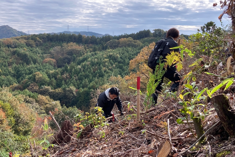 グリーンキャンペーン