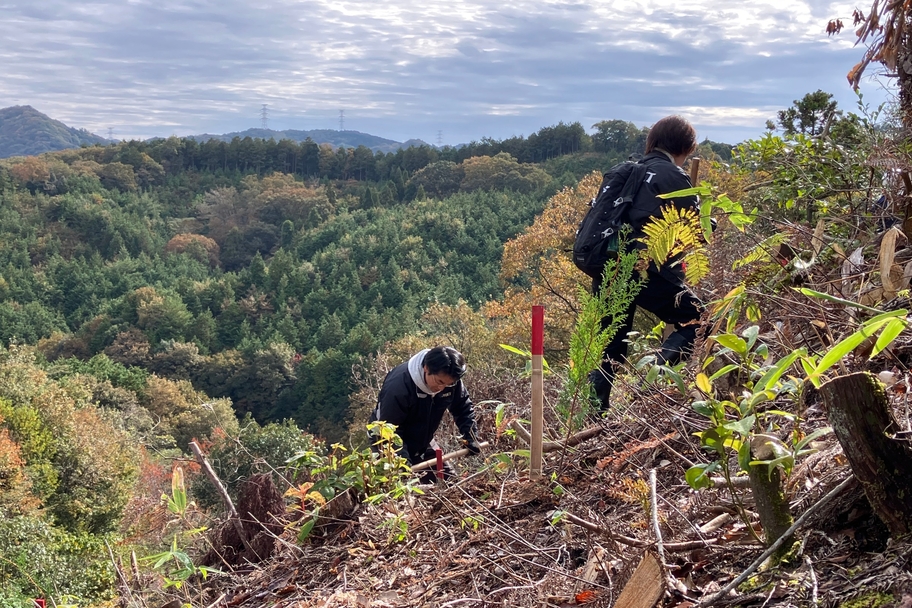グリーンキャンペーン